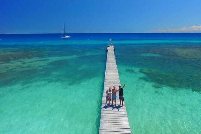 Full Day Nouméa Signal Island Turtle Tour - The Experience: Pros and Cons