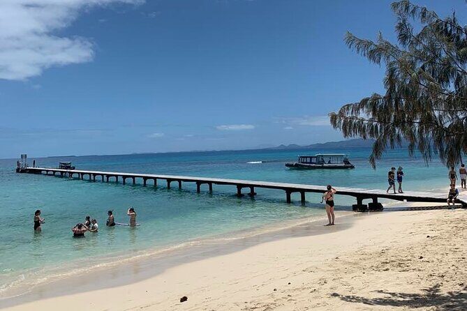 Full Day Nouméa Signal Island Turtle Tour - Who Will Love This Tour?