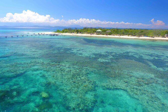 Full Day Nouméa Signal Island Turtle Tour - Pricing and Value