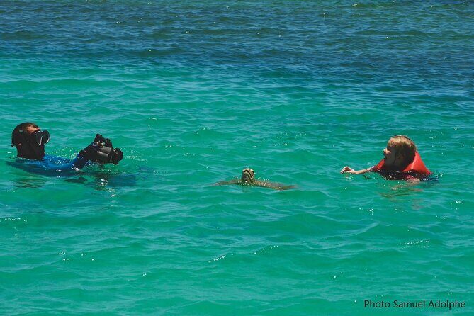 Full Day Nouméa Signal Island Turtle Tour - Practical Tips for Travelers