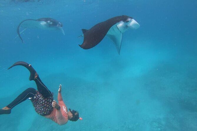 Full Day Nusa Penida Manta Point Snorkeling and West Island Tour - Who Should Book This Tour?