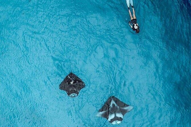 Full Day Nusa Penida Manta Point Snorkeling and West Island Tour - FAQ