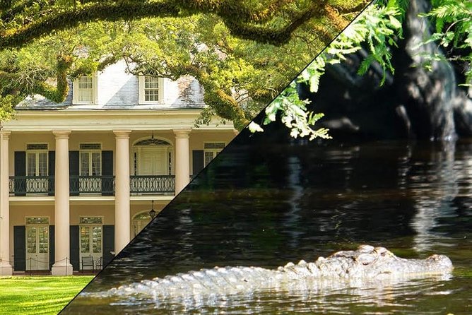 Full Day Oak Alley Plantation and Swamp Boat Tour From New Orleans - Tour Details
