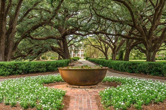 Full Day Oak Alley Plantation and Swamp Boat Tour From New Orleans - Logistics and Organization