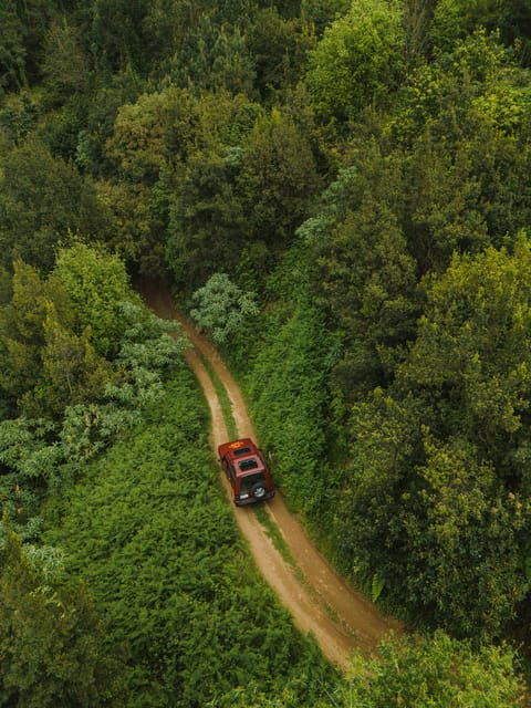 Full Day Off-Road Tour in West Madeira, With Pick-Up - Good To Know