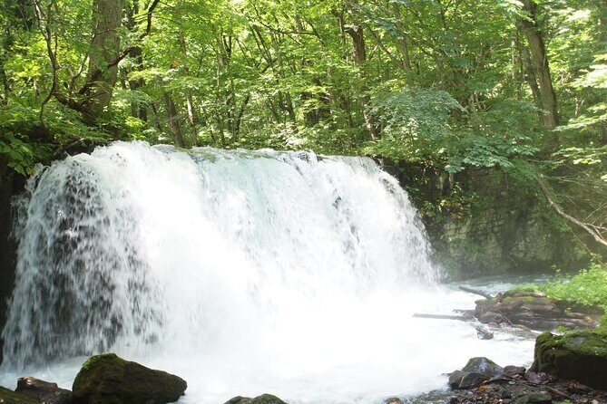 Full day Oirase Stream and Lake Towada Tour - The Sum Up