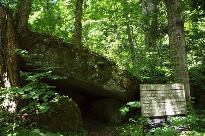 Full day Oirase Stream and Lake Towada Tour - FAQ