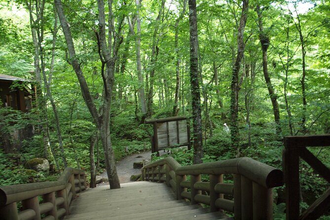 Full day Oirase Stream and Lake Towada Tour - Final Thoughts: Is It Worth It?
