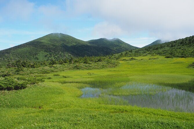 Full day Oirase Stream and Lake Towada Tour - FAQ