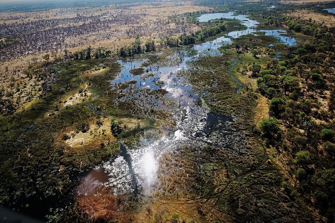Full Day Okavango Boat Safari - Good To Know