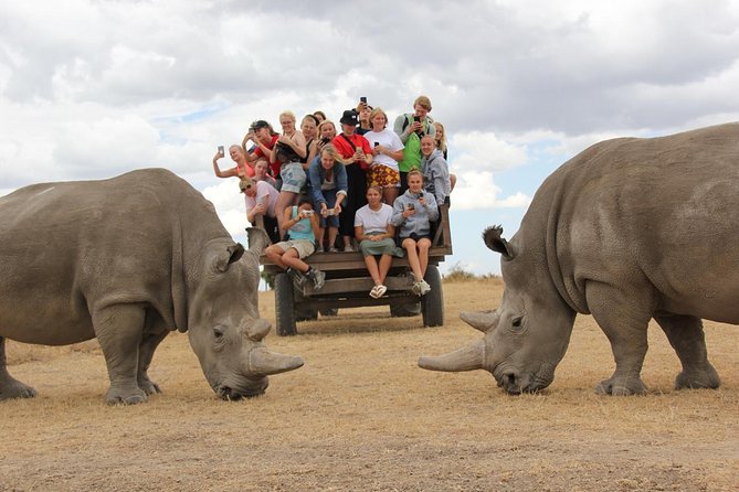 Full-Day Ol Pejeta Conservancy and Chimpanzee Sanctuary Tour From Nairobi - Meeting and Pickup Details