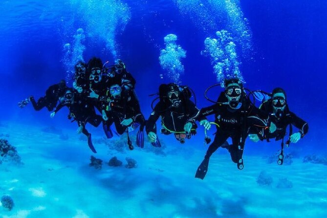 Full Day on Boat With 2 Dives in the Marine Parks of Sharm - Meeting Point and Start Time