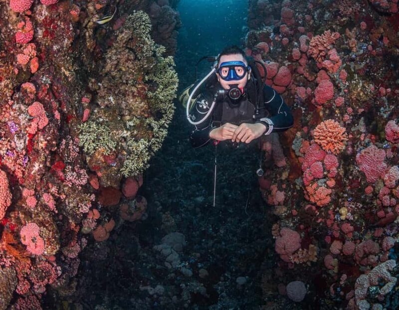 Full-Day Open Trip Diving in Komodo for Certified Divers - Good To Know