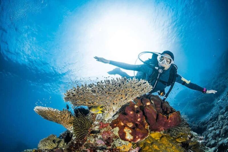 Full-Day Open Trip Diving in Komodo for Certified Divers - What Could Be Improved or Considered
