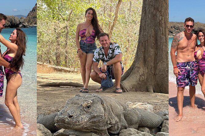 Full Day Open Trip Komodo - Good To Know