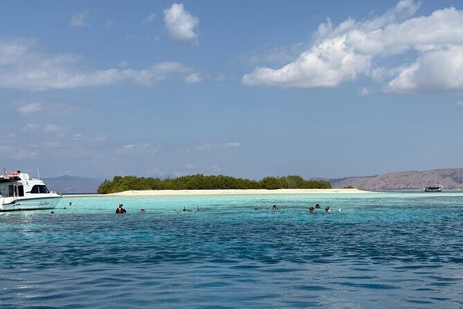 Full Day Open Trip Komodo - FAQ