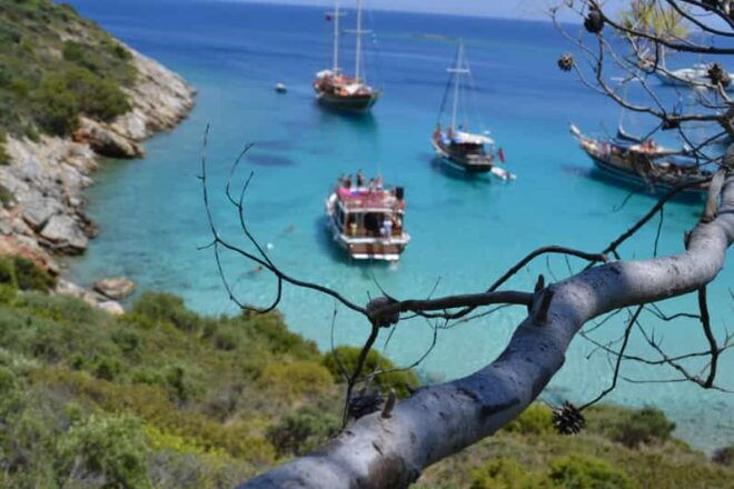 Full-Day Orak Island Boat Trip From Bodrum - Meals and Refreshments