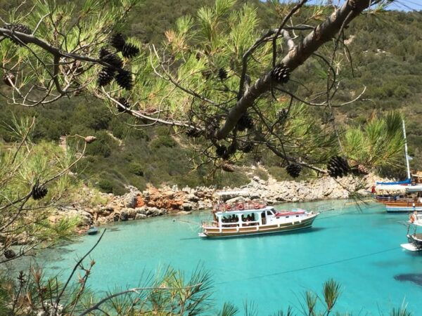 Full-Day Orak Island Boat Trip From Bodrum - Tips for a Great Experience