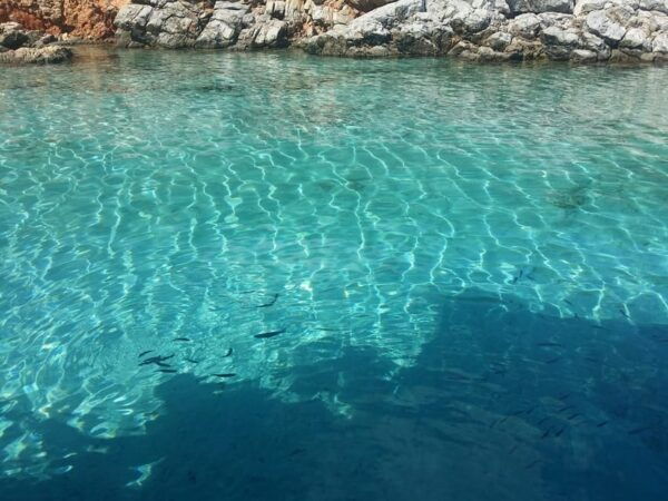 Full-Day Orak Island Boat Trip From Bodrum - Frequently Asked Questions