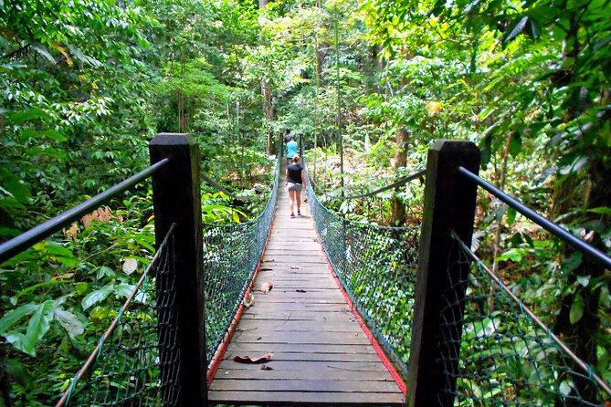 Full Day Orang Utan Sepilok, Proboscis Monkey, Sunbear, RDC - Important Notes