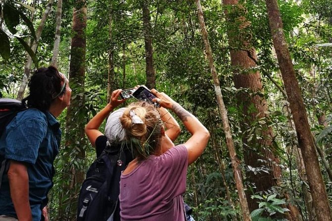 Full-Day Orangutans Adventure in Gunung Leuser - Overview of Gunung Leuser National Park