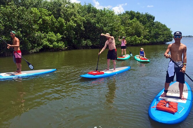 Full-Day Paddle Board Rental in Naples, Florida - Inclusions