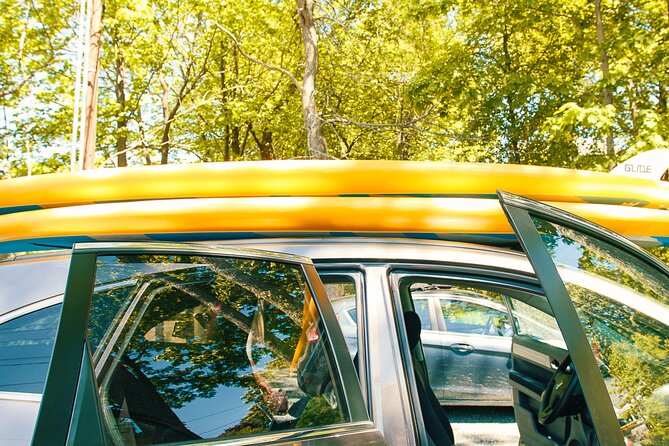 Full Day Paddleboard Rental in Acadia National Park - Rental Options and Availability