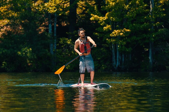 Full Day Paddleboard Rental in Acadia National Park - Equipment Included and Requirements