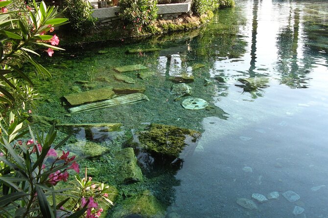 Full-Day Pamukkale and Hierapolis Tour From Antalya - Pricing and Tour Operator Information