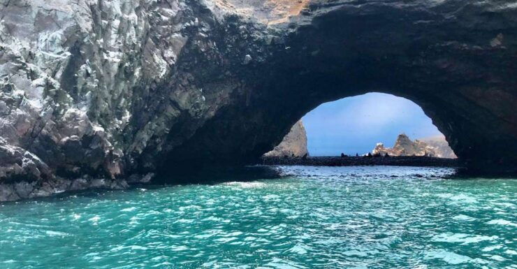 Full Day Paracas-Ica From Lima - Tour Overview