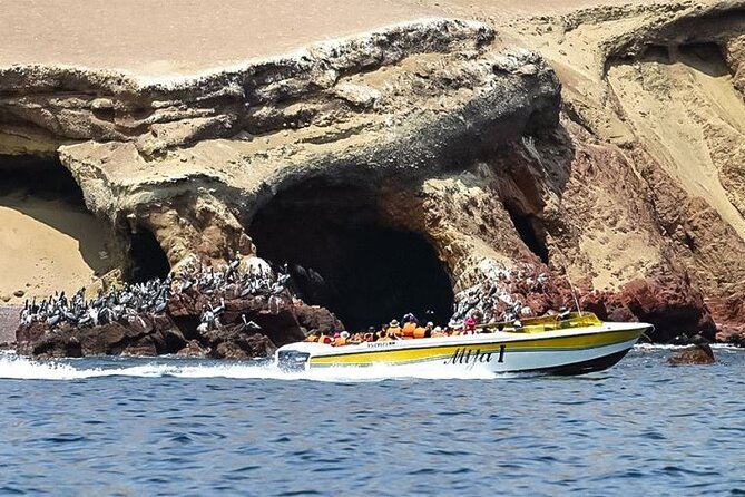 Full-Day Paracas Reserve and Ballestas Islands From Lima - Lunch and Free Time