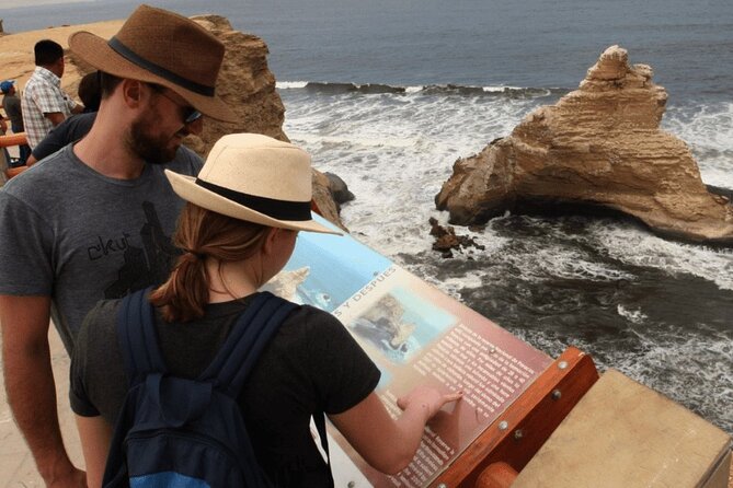 Full-Day Paracas Reserve and Ballestas Islands From Lima - Return to Lima