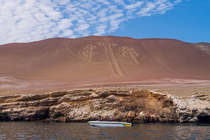 Full-Day Paracas Reserve and Ballestas Islands From Lima - The Sum Up