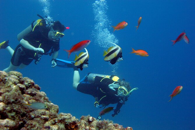 Full Day Paradise Island Excursion With Included Snorkeling - Inclusions
