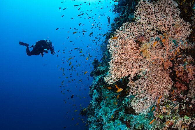 Full Day Paradise Island Excursion With Included Snorkeling - Additional Fees