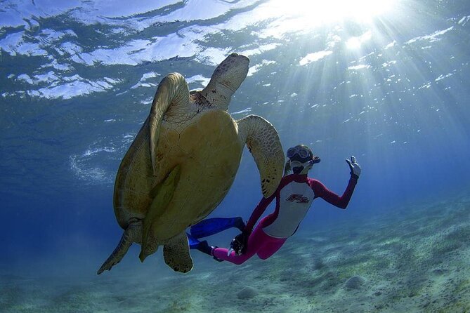 Full Day Paradise Island Excursion With Included Snorkeling - Special Offer