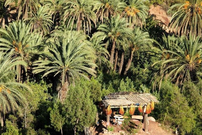 Full Day Paradise Valley and Sahara Desert Tour With Lunch - Booking Directions
