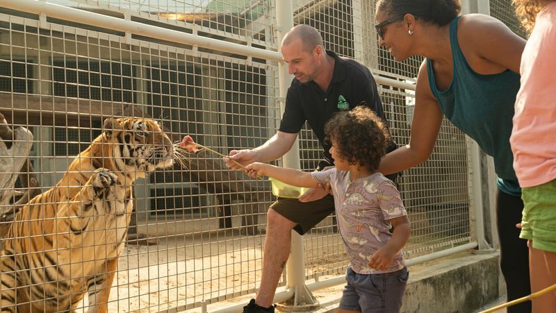 Full Day Pass | Angkor Wildlife & Aquarium - The Aquarium Makes the Long Ride Worthwhile