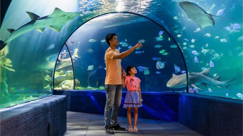 Full Day Pass | Angkor Wildlife & Aquarium - Shows and Feeding Times Can Shape Your Day