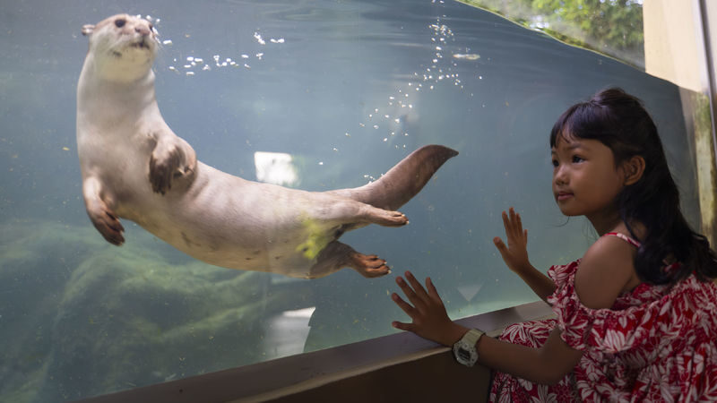 Full Day Pass | Angkor Wildlife & Aquarium - Who Should Make the Trip?