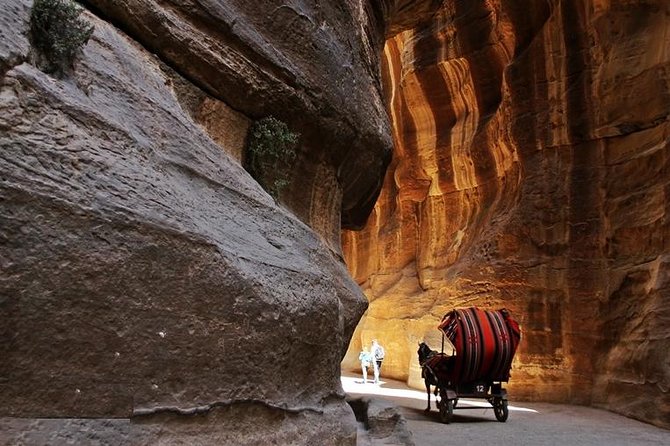 Full-Day Petra Tour From Dead Sea - Inclusions and Exclusions