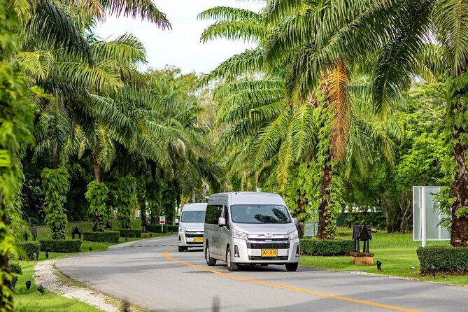 Full Day Phi Phi and Bamboo Islands Tour by Speed Catamaran - Water Activities: Snorkeling, Kayaking, and Paddleboarding