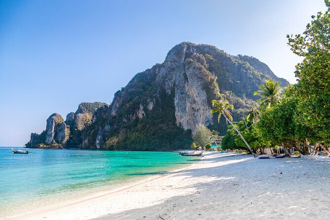 Full Day- Phi Phi Island & Maya Bay Snorkeling in Phuket & Lunch - Frequently Asked Questions