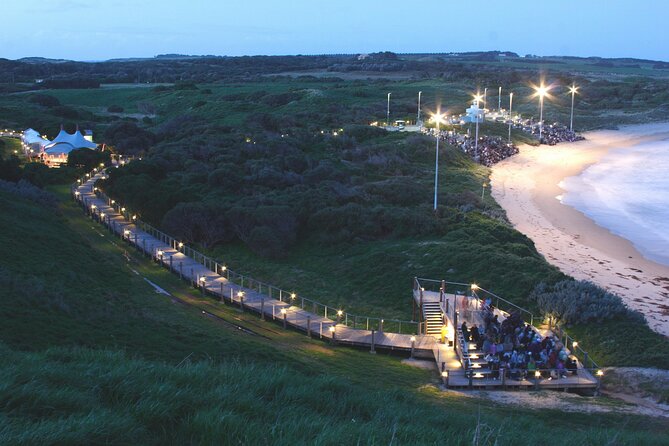 Full-Day Phillip Island Tour With Kangaroo, Koala and Penguin Parade - Viator Help Center