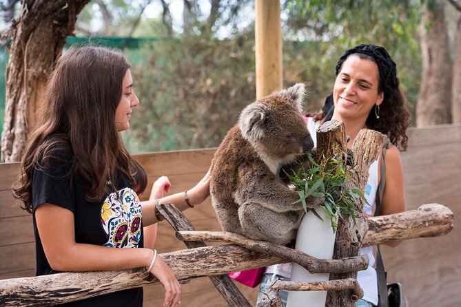 Full-Day Phillip Island Tour With Kangaroo, Koala and Penguin Parade - Pricing and Availability