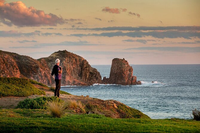 Full-Day Phillip Island Tour With Kangaroo, Koala and Penguin Parade - Dressing for the Tour
