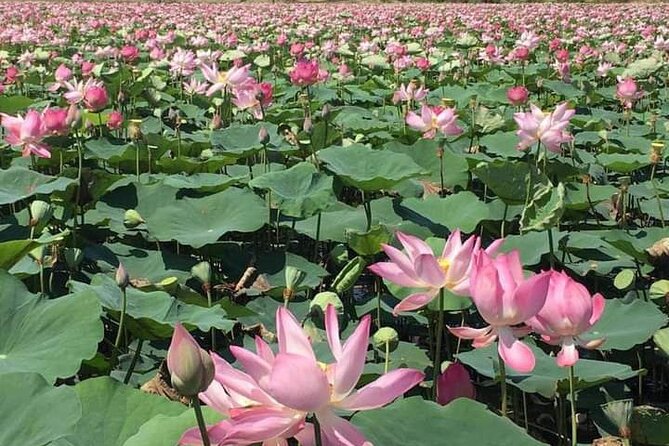 Full Day Phnom Penh City Tour - Frequently Asked Questions