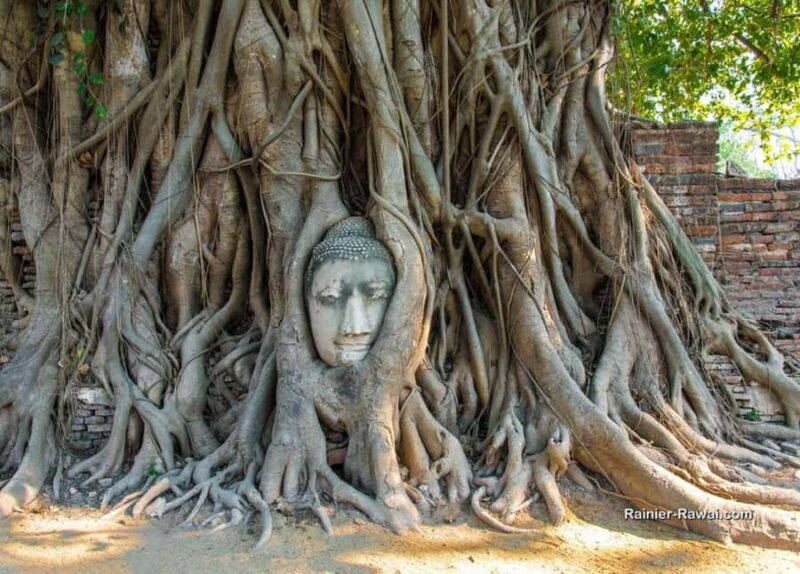 Full day - Phra Nakhon SiAyutthaya Temples with Photographer - The Sum Up