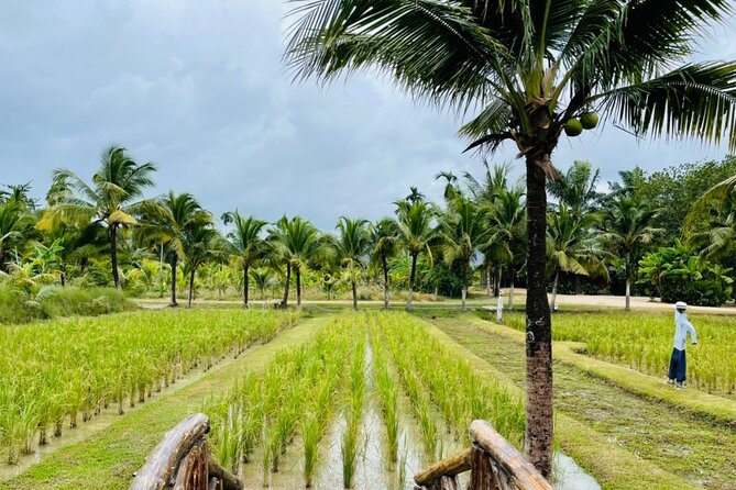 Full-Day Phuket Local Life Culture Tour With Pickup and Lunch - Traveler Photos and Reviews