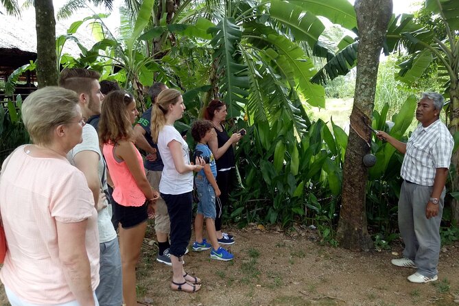 Full-Day Phuket Local Life Culture Tour With Pickup and Lunch - Price and Terms & Conditions